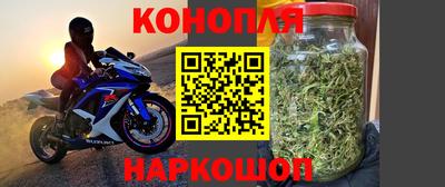 сатива Пенза